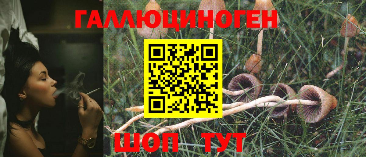 Галлюциногенные грибы мухоморы Малоярославец